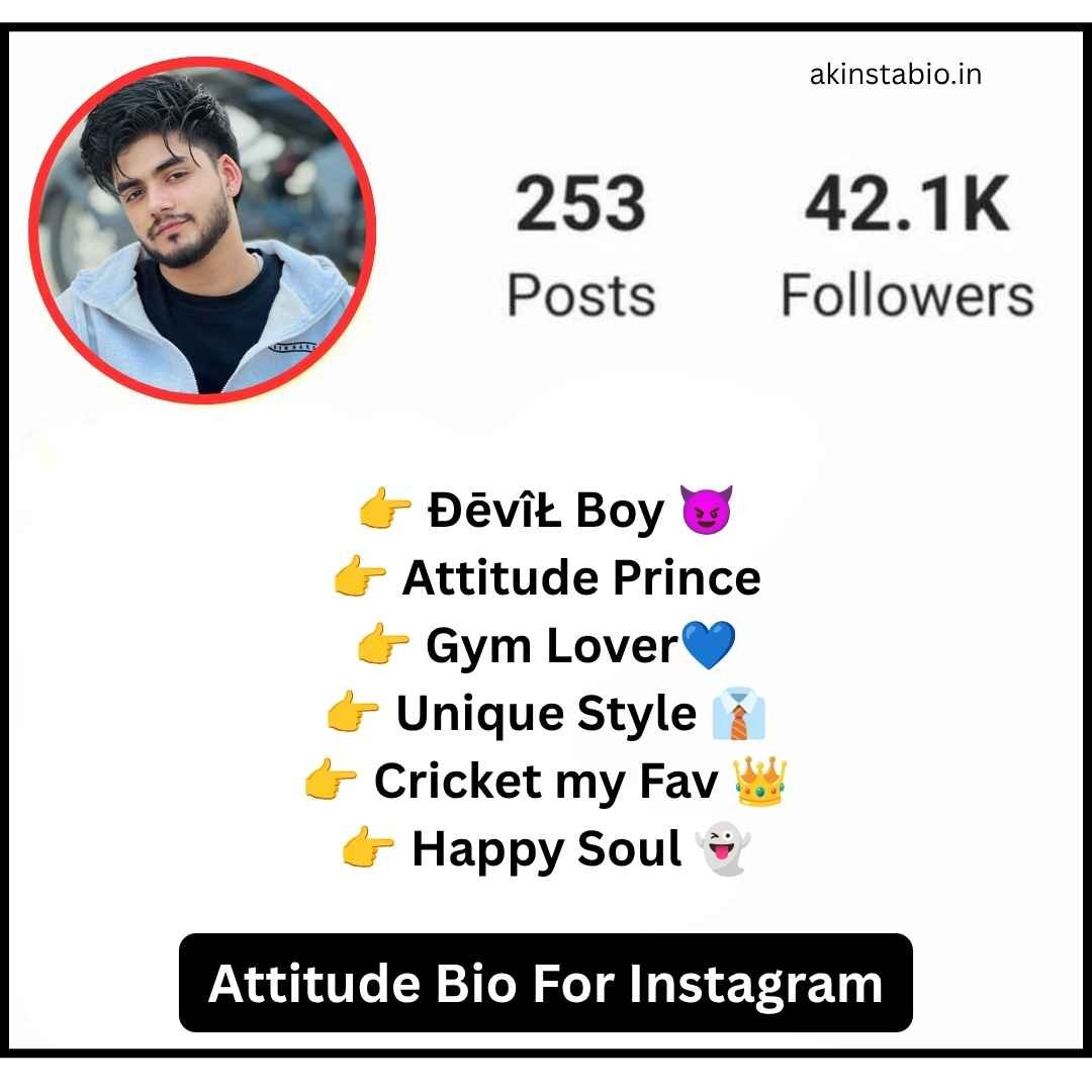 Attitude Bio For Instagram