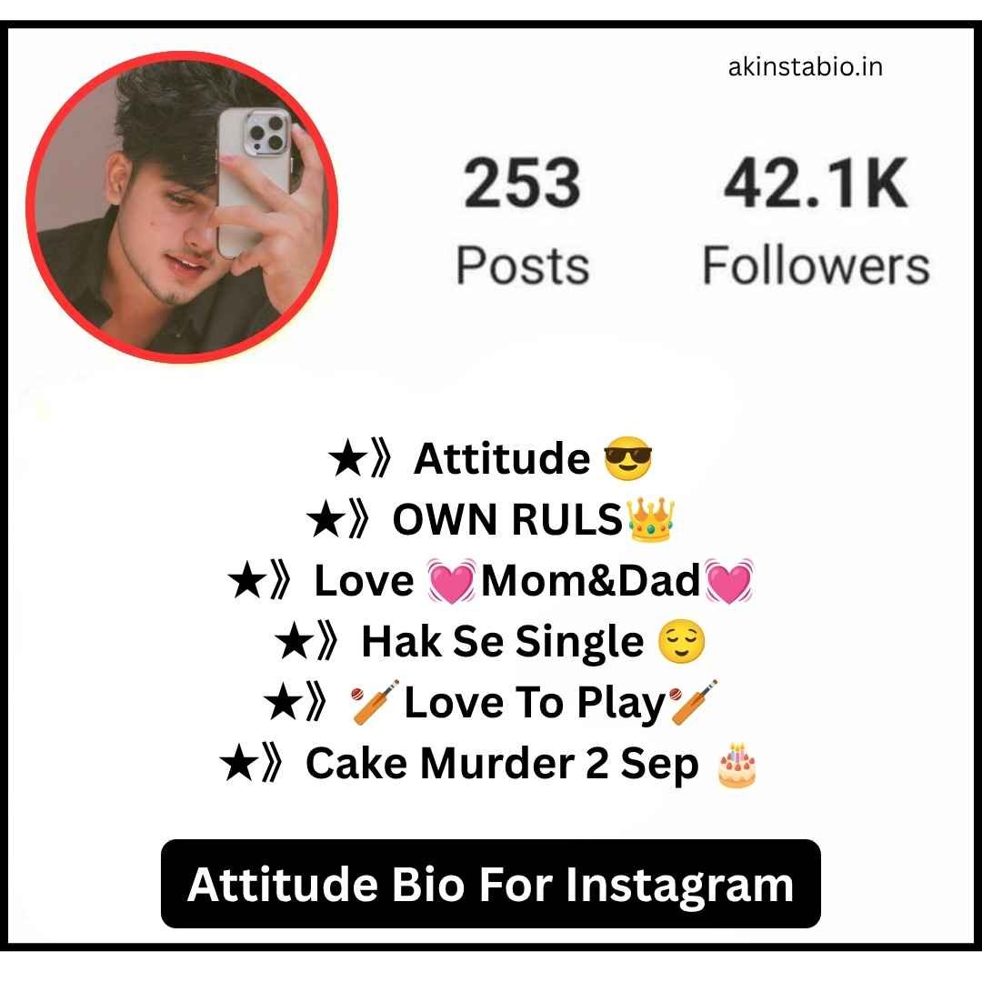 Attitude Bio For Instagram