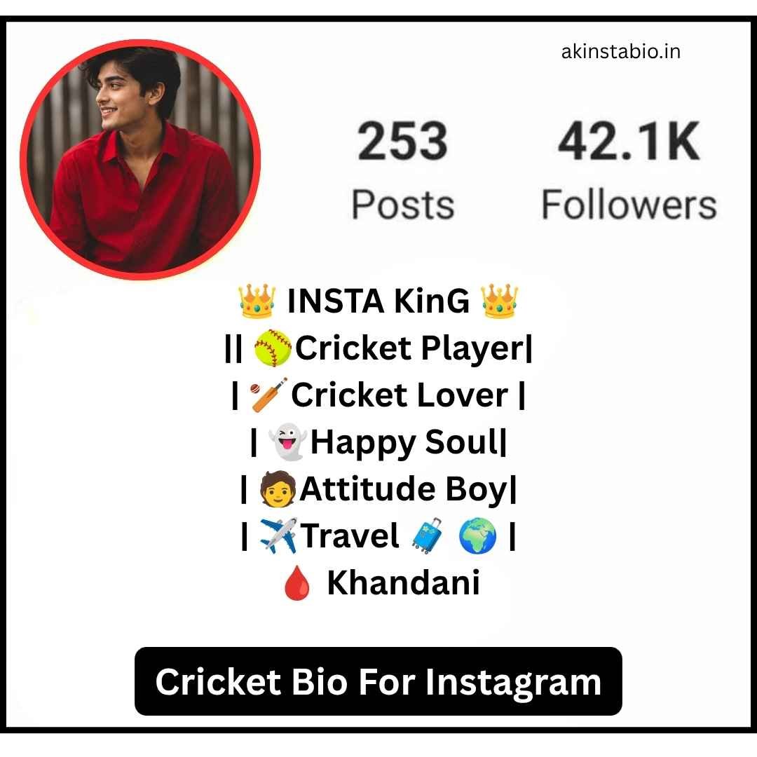 Cricket Bio For Instagram