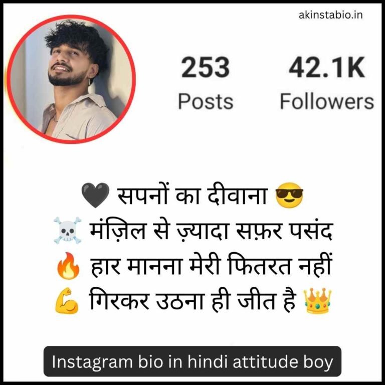 Instagram bio in hindi attitude boy