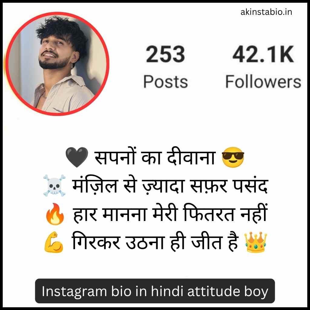 Instagram bio in hindi attitude boy
