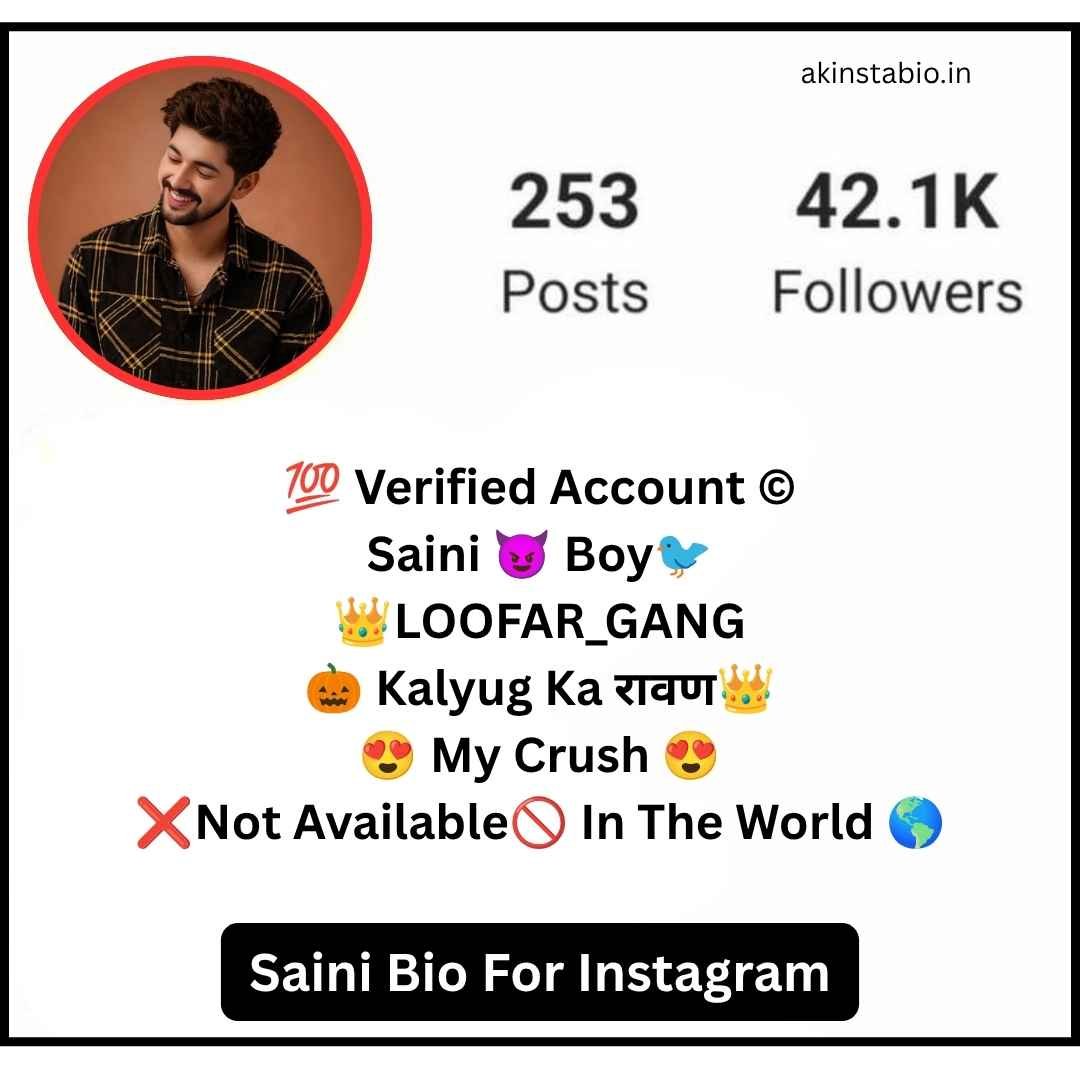Saini Bio For Instagram